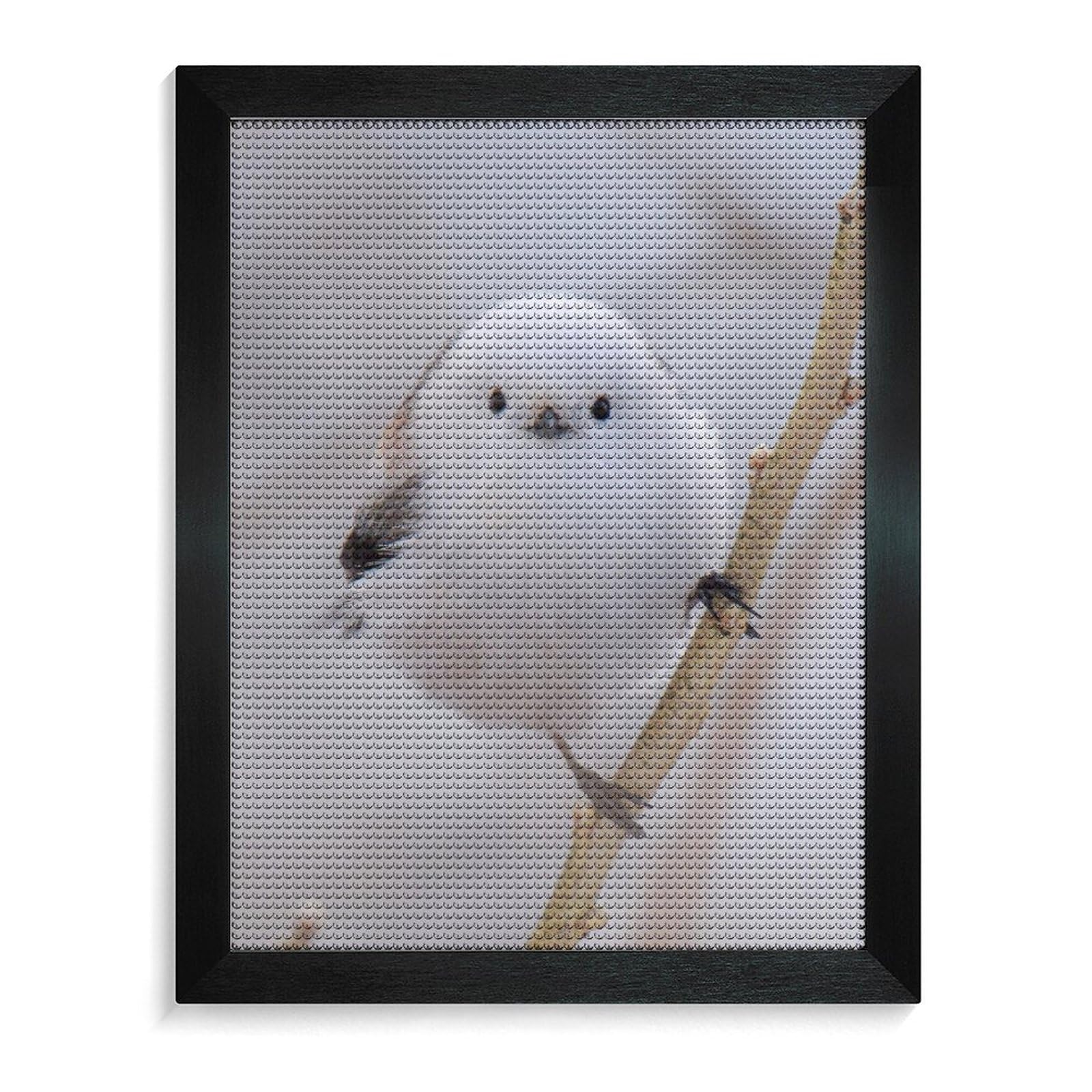 Amazon | シマエナガ 鳥柄 ダイヤモンドアート 5D ビーズアート ビーズ